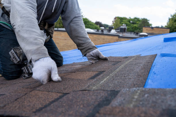 Best New Roof Installation  in Belmont, VA