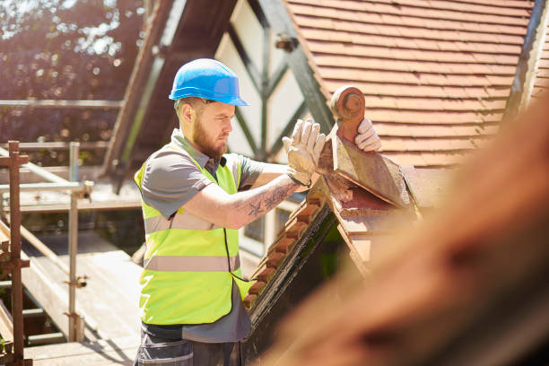 Best Roof Gutter Cleaning  in Belmont, VA