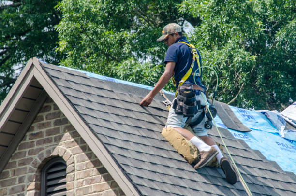 Best Gutter Installation and Roofing  in Belmont, VA
